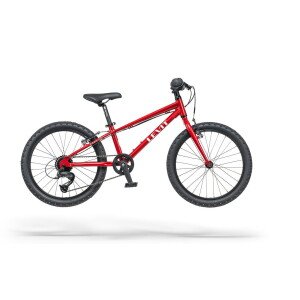 Dviratis Levit Kogo 20"