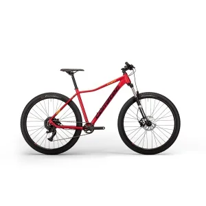 Dviratis Corratec  X Vert Expert